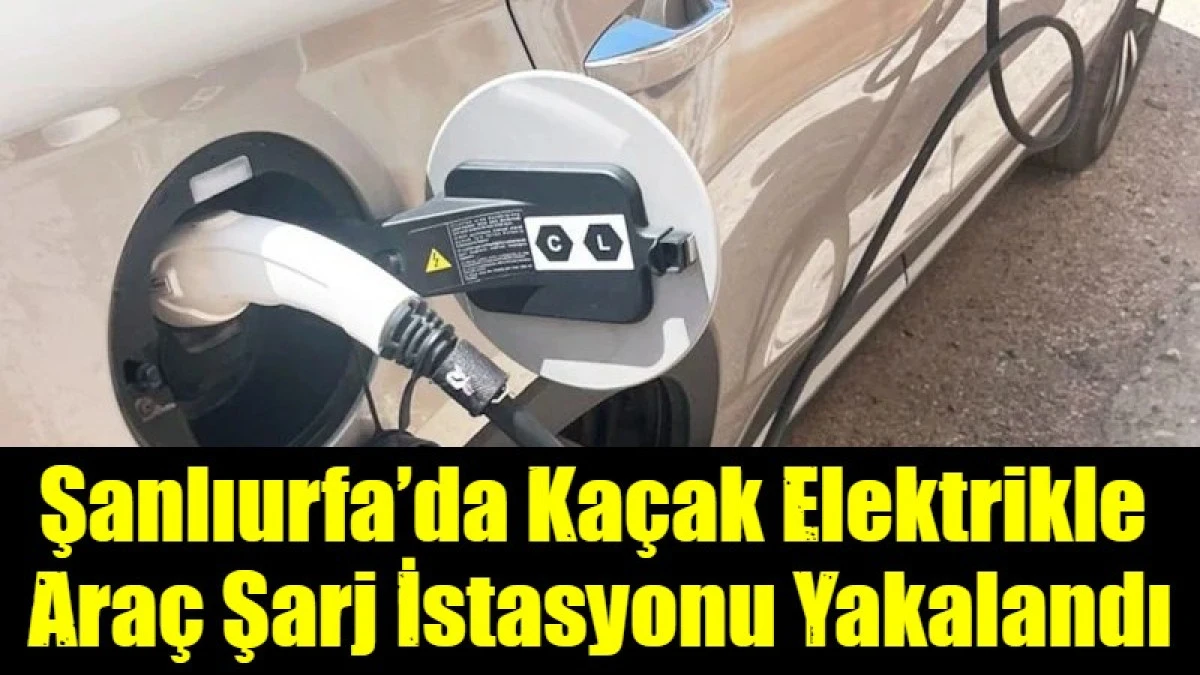 Şanlıurfa&rsquo;da Elektrik Hırsızlığında &Ccedil;ığır A&ccedil;tı