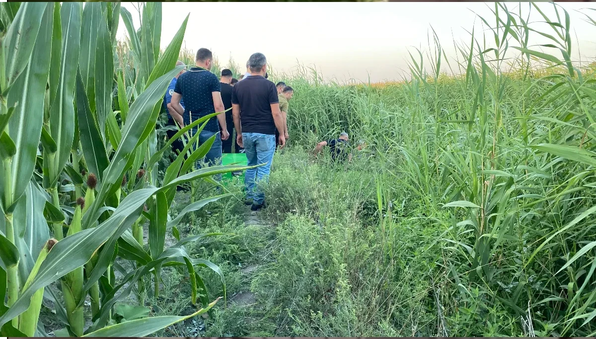 Sazlıklar Arasında Bir Kişi Ölü Bulundu