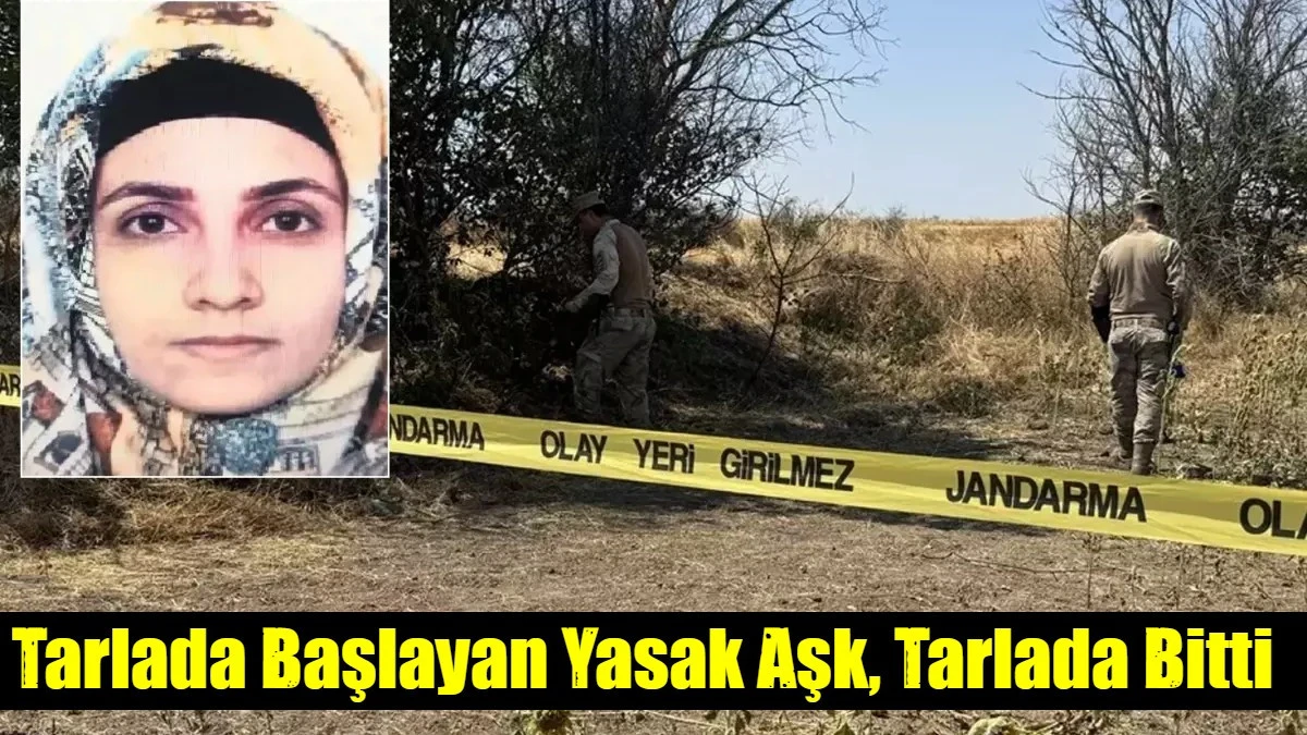 Tarlada Başlayan Yasak Aşk, Tarlada Bitti