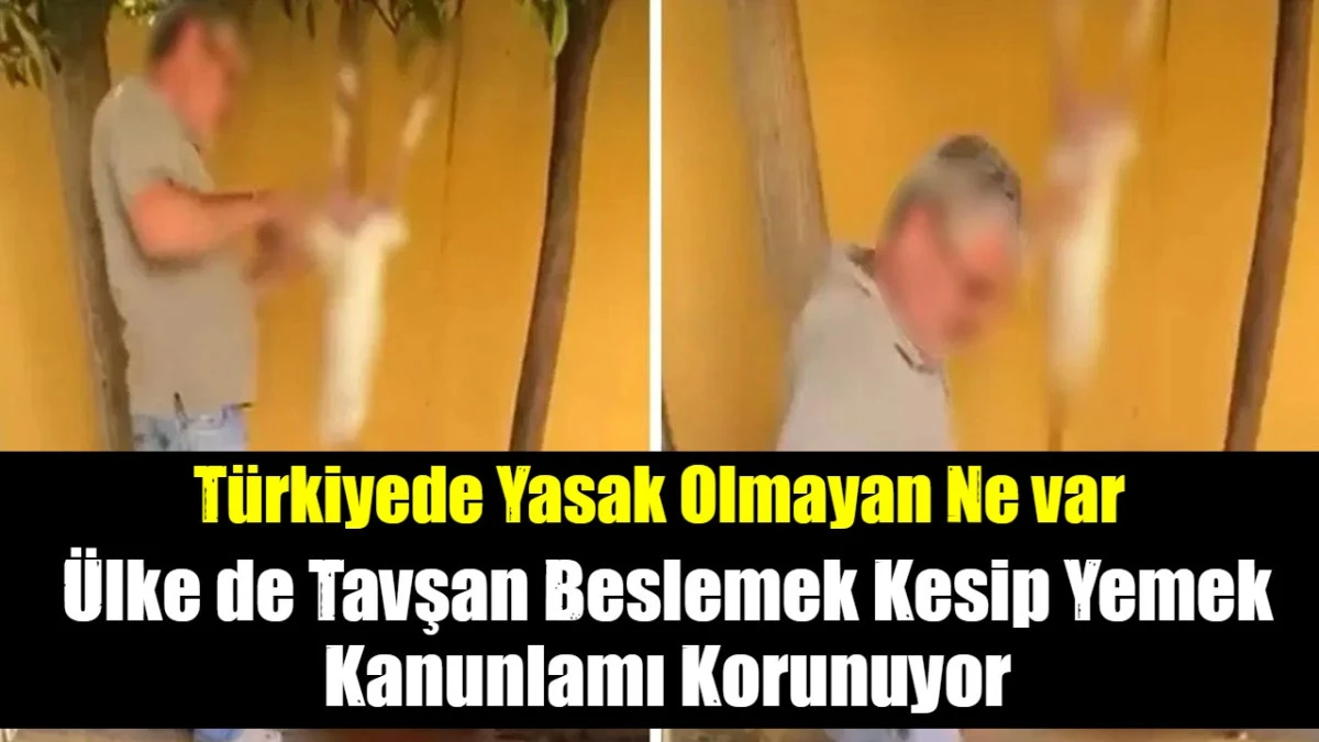 Tavsan Kesip Yemek Hangi Kanunun İlgili Maddesine G&ouml;re Yasak?