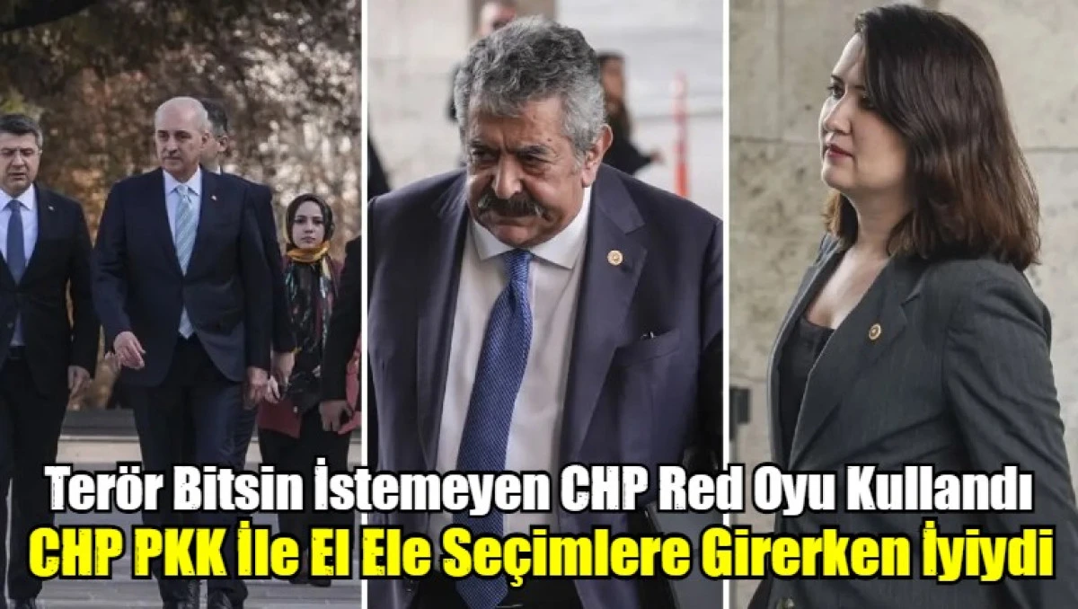 Terör Bitsin İstemeyen CHP Red Oyu Kullandı