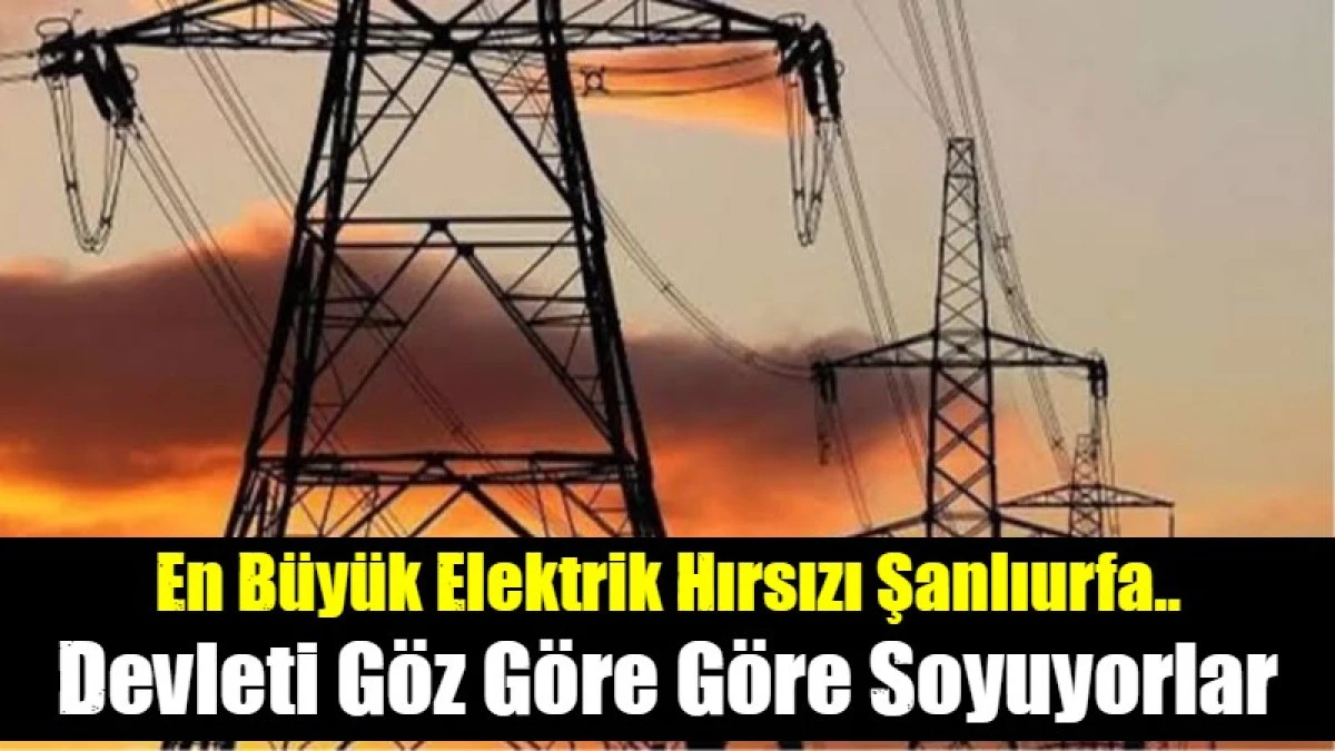 T&uuml;rkiyenin en b&uuml;y&uuml;k elektirik hırsızları Şanlıurfa da yaşıyor