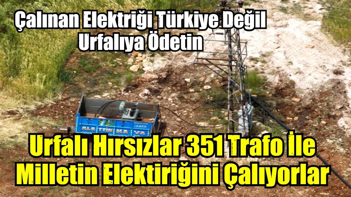 Urfalı Hırsızlar 351 Trafo İle Milletin Elektiriğini Çalıyorlar