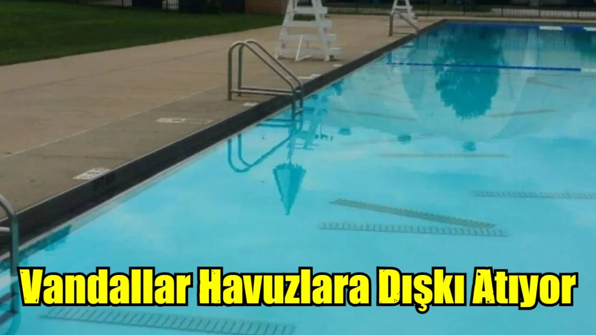 Vandallar Havuzlara Dışkı Atıyor