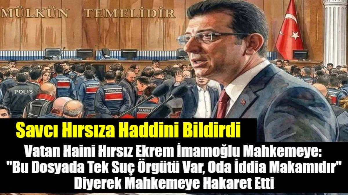 Vatan Haini Hırsız Mahkemeye Hakaret Edince Savcı "Haddinizi bildiririz" dedi