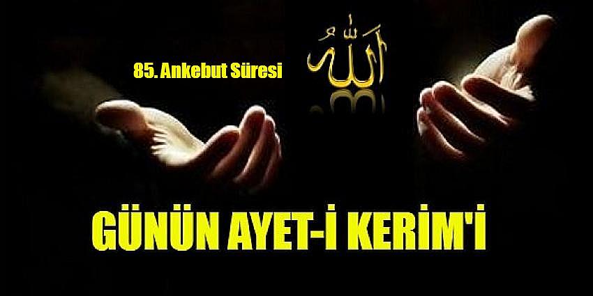 85. Ankebut - Dişi Örümcek Süresi