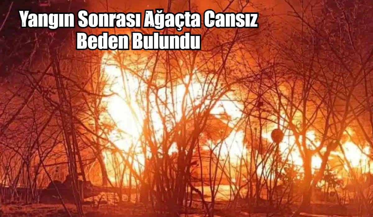 Yangın Sonrası Ağa&ccedil;ta Cansız Beden Bulundu