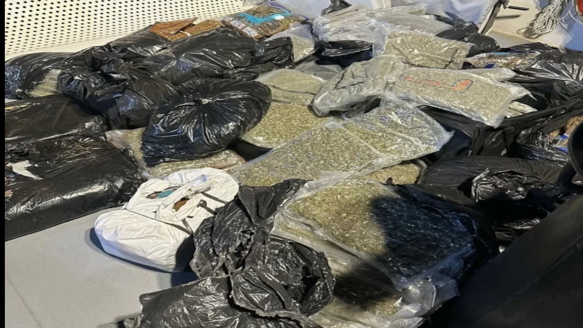 Yelkenli Teknede 158 kilo 664 Gram sSkunk-Esrar Yakalandı