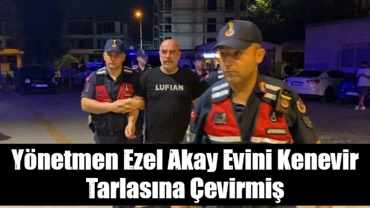 Y&ouml;netmen Ezel Akay Evini Kenevir Tarlasına &Ccedil;evirmiş