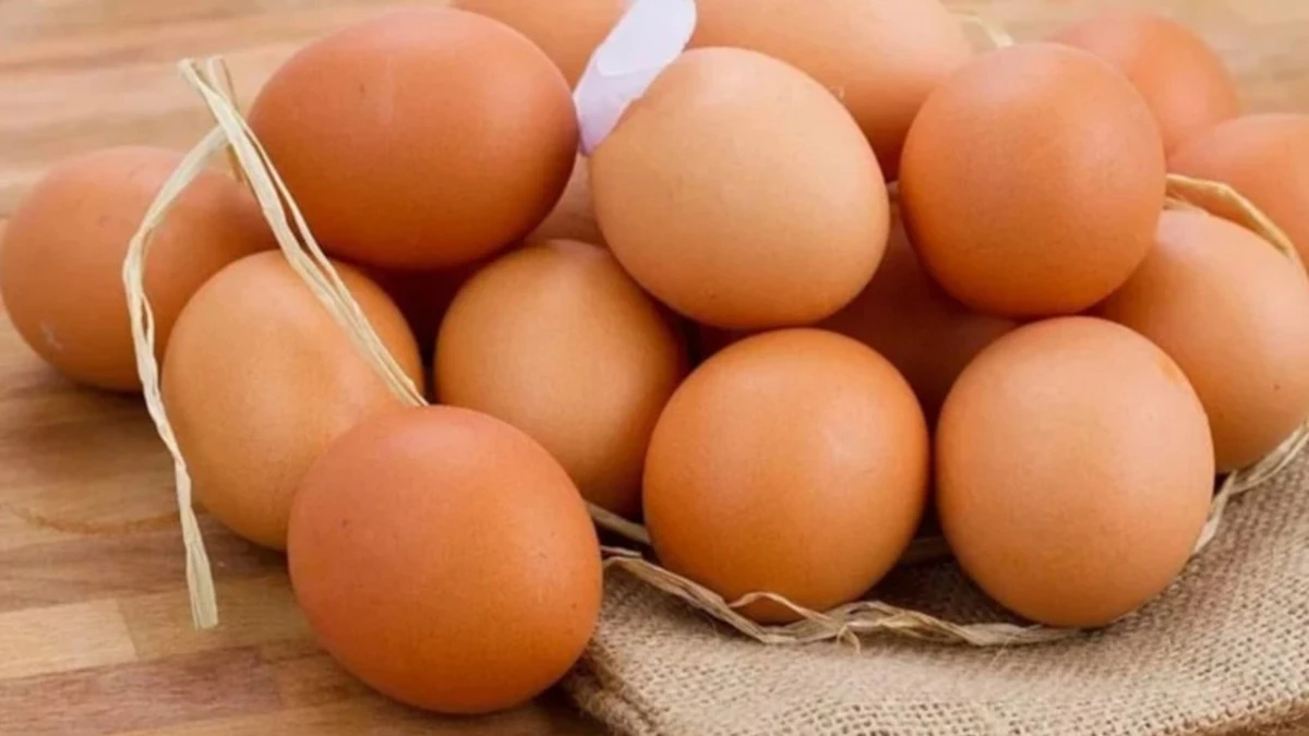 Yumurtalarda salmonella alarmı: Milyonlarca yumurta geri &ccedil;ağrıldı