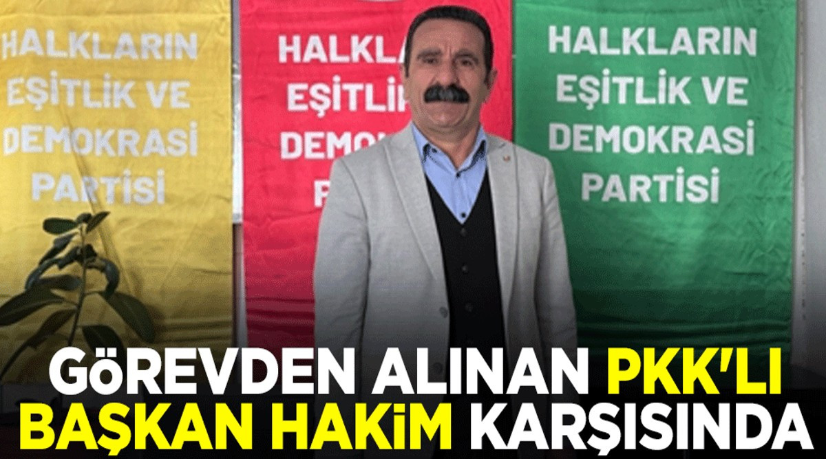 Yüzünden Ahmaklık Akan PKK'lı Devlet Kuracakmış..